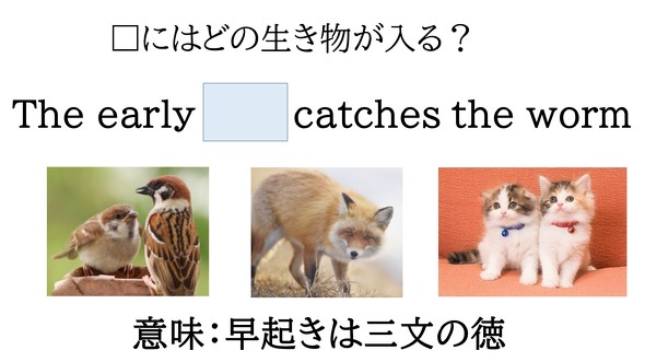 早起きは三文の徳