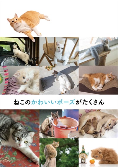 川島隆太教授の脳活ねこのまちがい探し