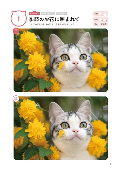 川島隆太教授の脳活ねこのまちがい探し