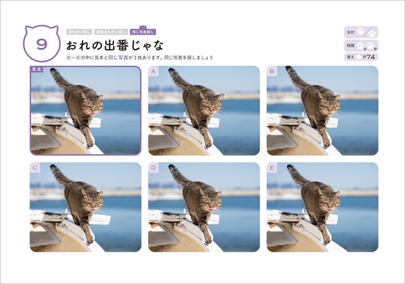 川島隆太教授の脳活ねこのまちがい探し