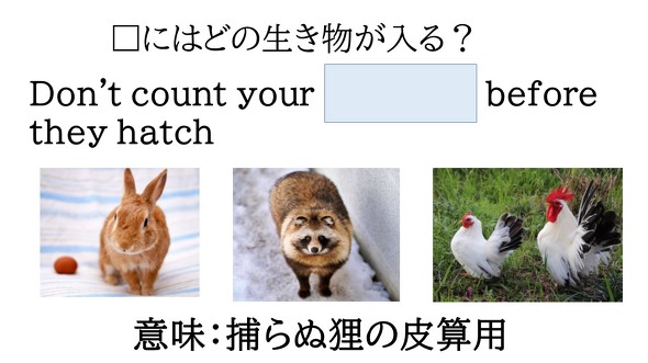 捕らぬ狸の皮算用