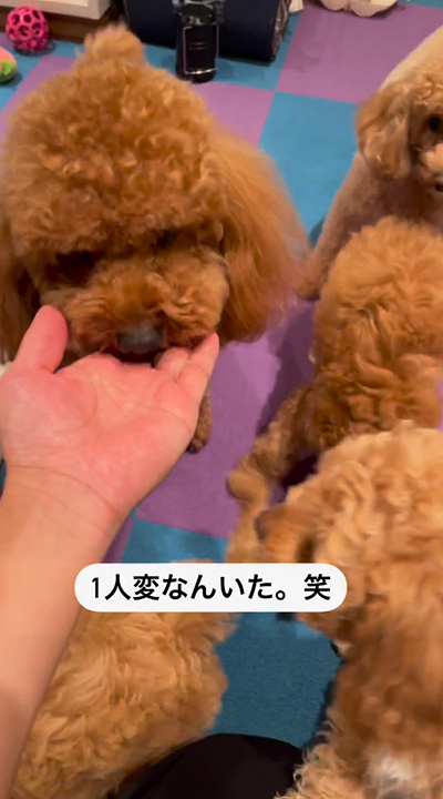 最後の一粒を食べる