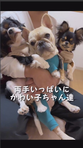 抱っこされている三姉妹