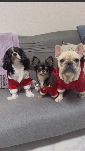 サンタコスを身につける三姉妹