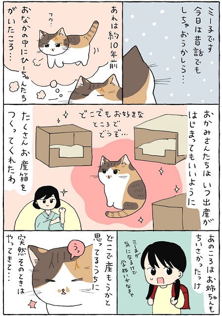 てらねこミー子の日常