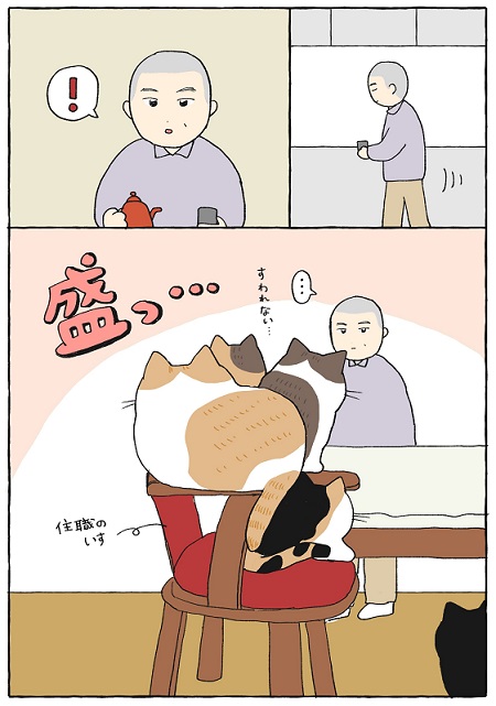 てらねこミー子の日常