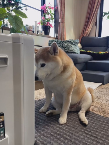 前回