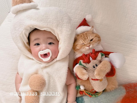 サンタコスしてウインクする猫