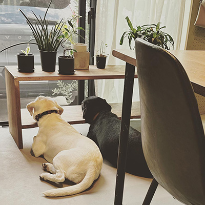 えまちゃんとのあちゃんの背中