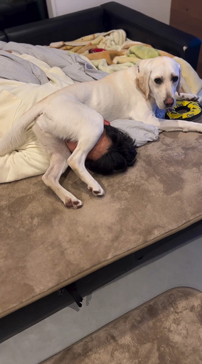 カメラ目線えまちゃん