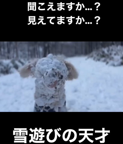 雪遊びの天才
