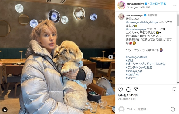 梅宮アンナと愛犬