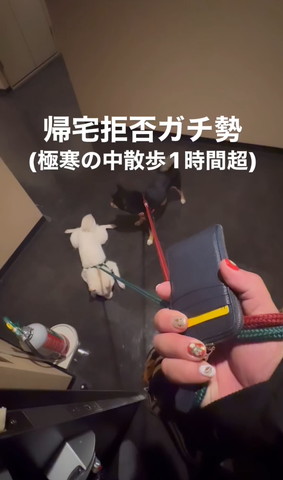 へばりつくワンコと立ってるワンコ後ろ向き