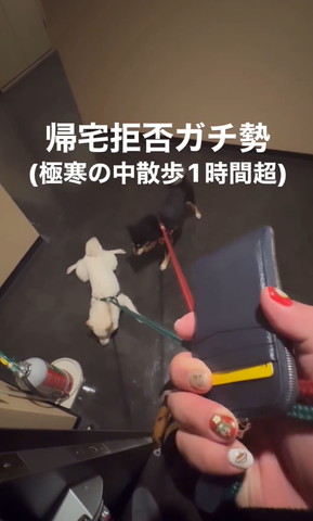 へばりつくワンコ見てるワンコ