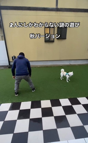 右にいるワンコカメラ目線