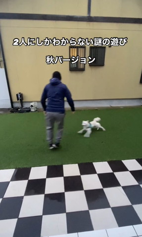 前足広げてるワンコぶれてる