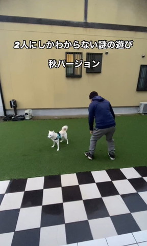 仁王立ちワンコを見るパパ