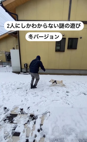 雪道左に走っていくワンコ