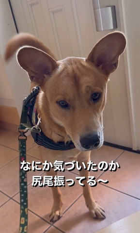 なにか気付いたのか