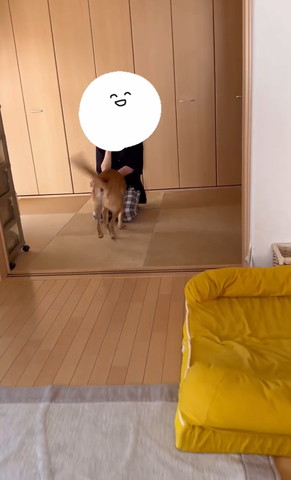 走っていくワンコのお尻