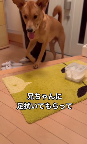 兄ちゃんに足拭いてもらって