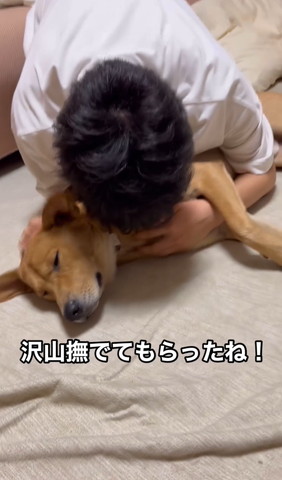 たくさんなでてもらった