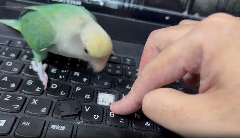 キーボードはがれてる