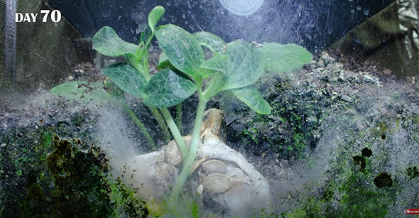 画像内テキスト