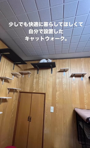 キャットウォーク全体