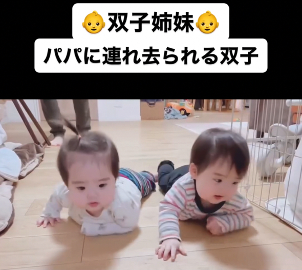 双子