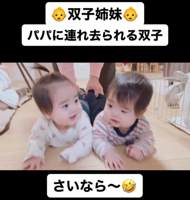 引っ張られていく双子の赤ちゃん