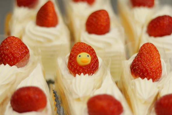 一匹だけヒヨコを紛れ込ませたぞ！