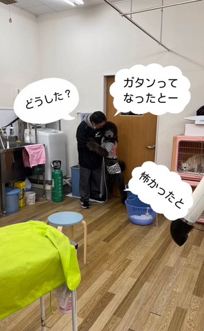 ガタンってなったと