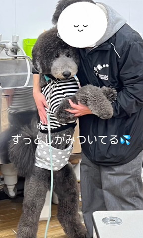 ずっとしがみついてる