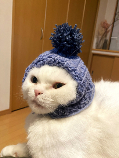 ニット帽が似合う猫ちゃん