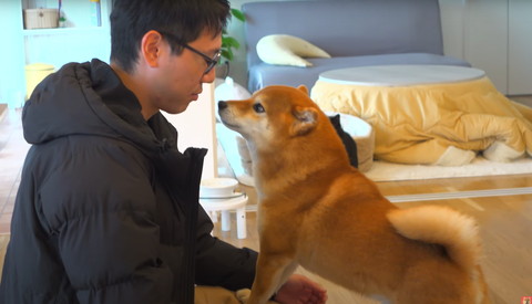 ヒザに乗っかるワンコ横顔