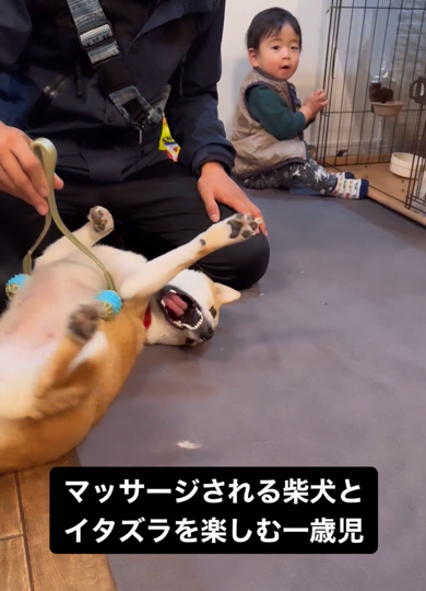 おすすめ