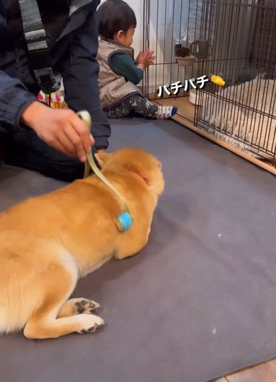 イタズラが成功して拍手する1歳児