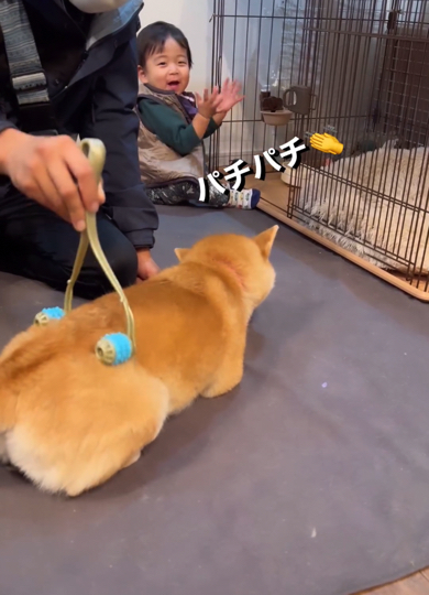 カメラ目線でイタズラ成功を報告する1歳児