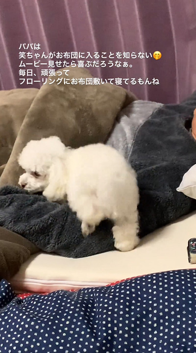 左足あげワンコ