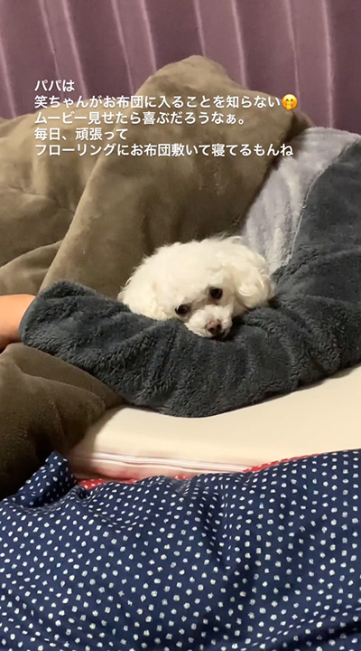 あごおきワンコ