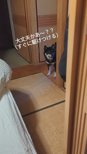 赤ちゃんの泣き声を聞き駆けつける天すけくん