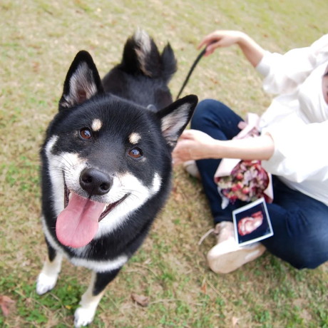 公園お散歩中の天すけくん