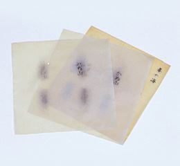 よーじやあぶらとり紙よじこ3世代セット