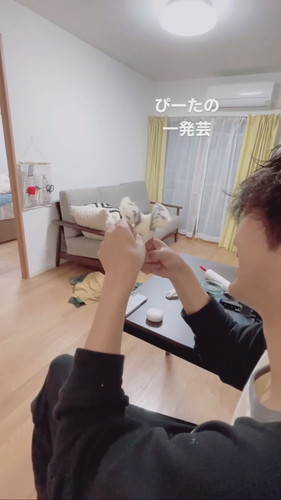 オカメインコのピー太くんをなでる飼い主さん