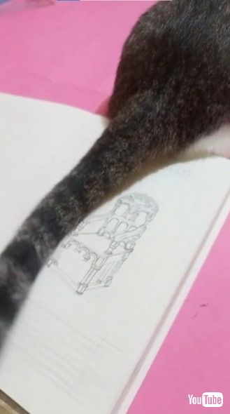 しっぽで消しカスをお掃除