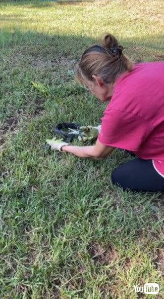 網を切ってヘビを救出する女性