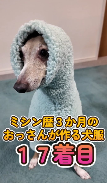 おまめさん様専用ページ イタグレ服 ハンドメイド サロペット