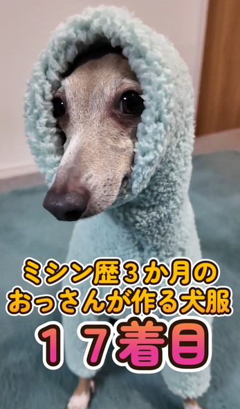 洋服を着るワンコ