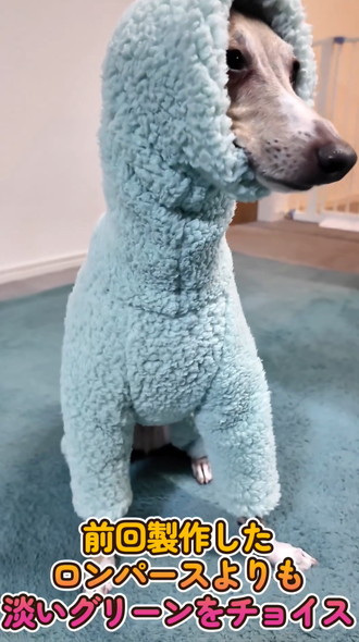 洋服を着るワンコ